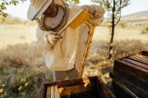 Our Story How Natures Oasis Began