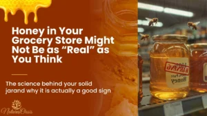 Honey in Your Grocery Store Might Not Be as “Real” as You Think