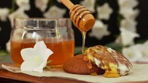 Raw Honey Chocolates: The UK Buyer’s Guide Brands, Prices & What to Look For